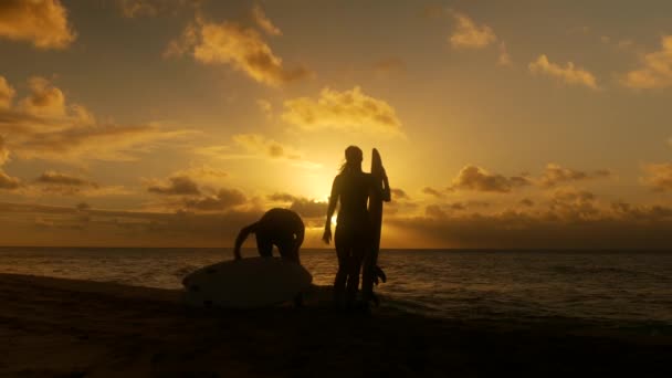 Pareja de surfistas en silueta sosteniendo largas tablas de surf al atardecer en la playa tropical — Vídeo de stock