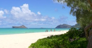 Waimanalo Beach Oahu Hawaii