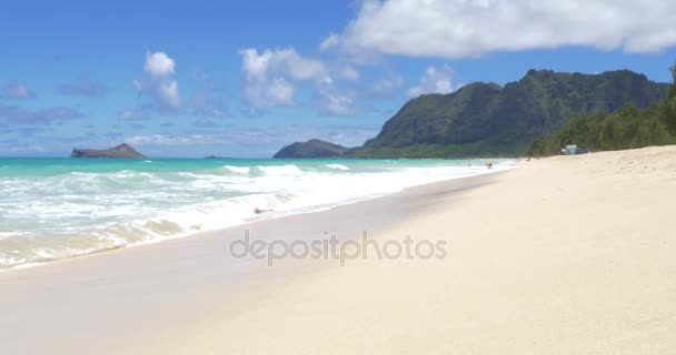 Praia de Waimanalo Oahu Havaí — Vídeo de Stock
