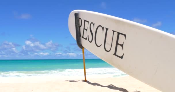 Hawaii plajda sörf tahtası kurtarmak — Stok video
