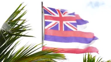 Hawaii bayrak rüzgarda sallayarak