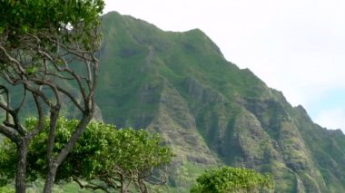 Koolau dağlar Oahu Hawaii