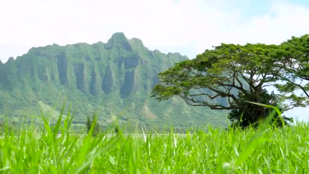 Кула гори переглядали на затоку Kaneohe на Windward Оаху Гавайських островів — стокове відео