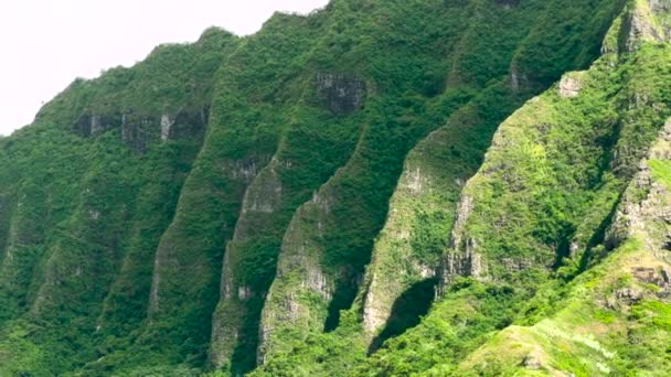 Koolau dağlar Oahu Hawaii — Stok video