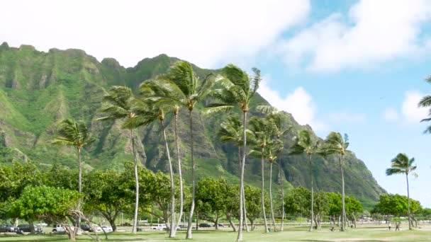 Koolau berg Oahu Hawaii — Stockvideo