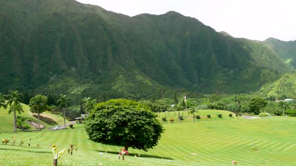 コオラウ山脈のオアフ島ハワイ — ストック動画