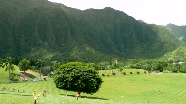 Koolau hory Oahu Hawaii — Stock video