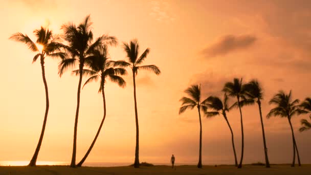 El hombre que regresa de la playa Hawaii — Vídeos de Stock