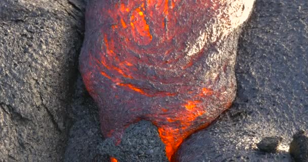 Hawaiian Lava flödar från Kilauea volcano Hawaii — Stockvideo