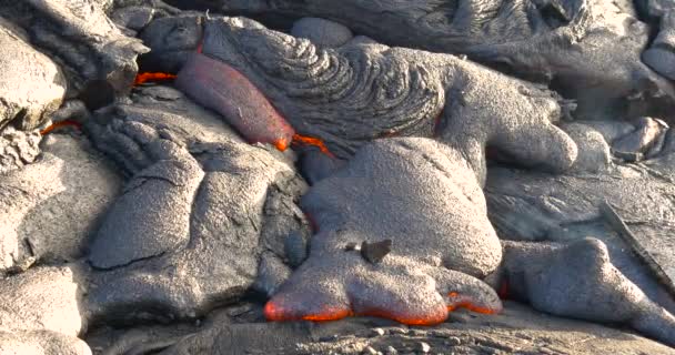 Hawaiianische Lava fließt vom Kilauea Vulkan Hawaii — Stockvideo