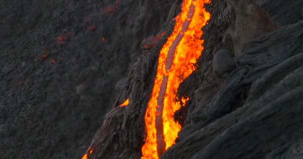 Lave hawaïenne coulant du volcan Kilauea Hawaï — Video