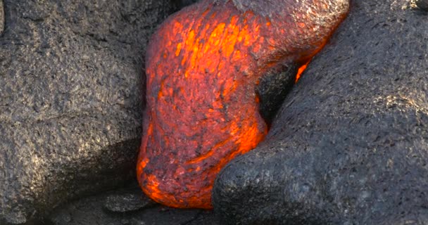 Lava havaiana fluindo do vulcão Kilauea Havaí — Vídeo de Stock