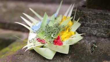 Bali tanrılarla çiçekler için geleneksel balinese teklifleri