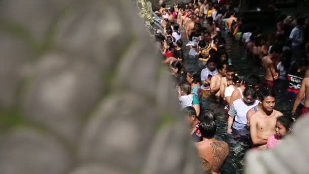 Les Balinais viennent au temple de l'eau de Sacred Springs à Bali, Indonésie — Video