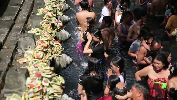 Povo balinês vem para o templo da água das fontes sagradas em Bali, Indonésia — Vídeo de Stock