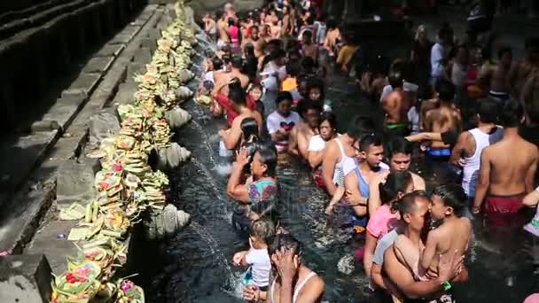 Povo balinês vem para o templo da água das fontes sagradas em Bali, Indonésia — Vídeo de Stock