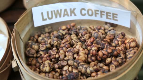 Kopi luwak oder zibetkaffee, bali, indonesien — Stockvideo