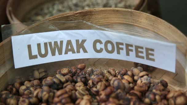 Kopi Luwak vagy cibet kávé, Bali, Indonézia — Stock videók