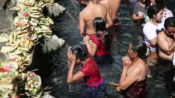 Les Balinais viennent au temple de l'eau de Sacred Springs à Bali, Indonésie — Video