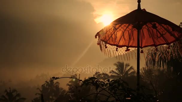 Traditions umbrella on the island of Bali, Sunset Indonesia — Stock Video