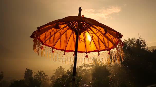 Traditions umbrella on the island of Bali, Sunset Indonesia — Stock Video