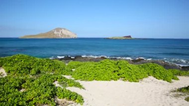 Tavşan Adası'nda rüzgâr Oahu Hawaii plajda Makapuu