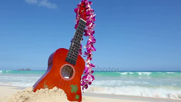 Wakacyjnych podróży koncepcja z ukulele i lei na tropikalnej plaży Oahu na Hawajach — Wideo stockowe