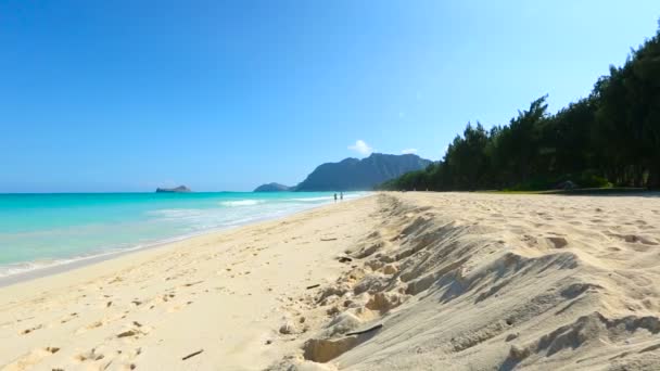ハワイ ・ オアフ島の風上のワイマナロビーチの碧い海 — ストック動画