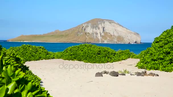 兔子岛在马卡普海滩上迎风欧胡岛夏威夷 — 图库视频影像