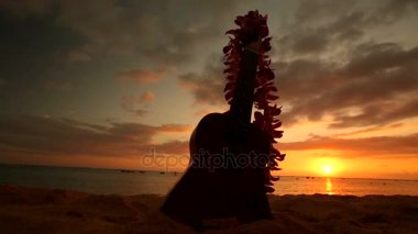 Ukulele ve gün batımında sahilde lei ile Hawaii kavramı