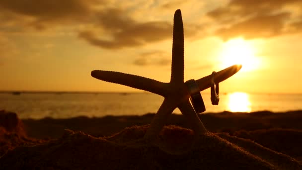 Destination wedding rings and starfish on beach at sunset love concept — Stock Video