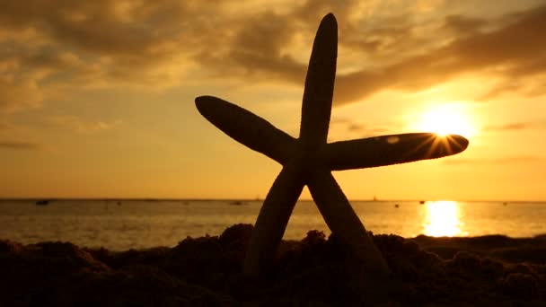 Rozgwiazda na plaży o zachodzie słońca podróży wakacje koncepcja — Wideo stockowe