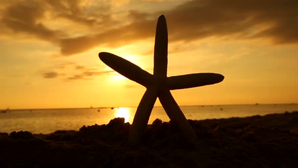 Starfish na praia no pôr-do-sol viagens férias conceito — Vídeo de Stock