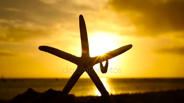 Eljegyzési gyűrű és a starfish tengerparton naplementekor szeretet fogalma — Stock videók