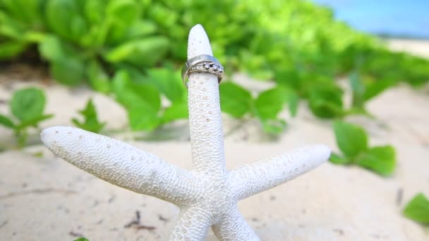 Anéis de casamento e startfish praia amor conceito — Vídeo de Stock