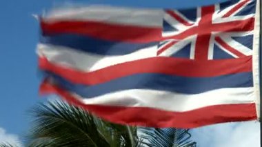 Hawaii bayrak rüzgarda sallayarak