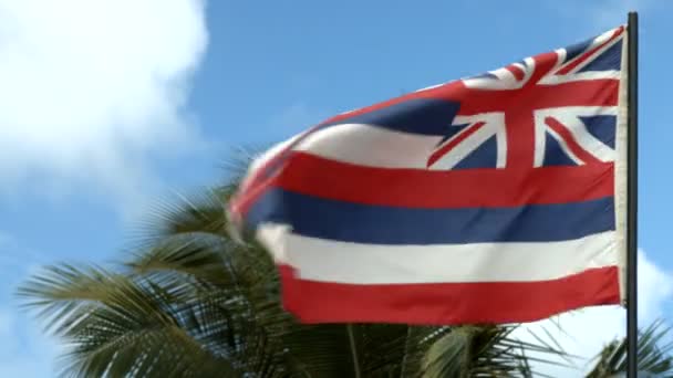 Hawaii bayrak rüzgarda sallayarak — Stok video