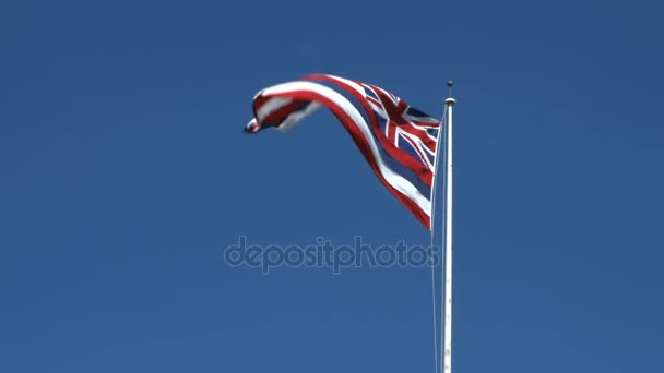 Bandera de Hawai en el Palacio Iolani en Oahu Hawaii — Vídeo de stock