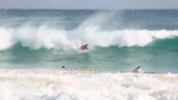 Boogie-Boarding am Sandstrand von Oahu Hawaii — Stockvideo