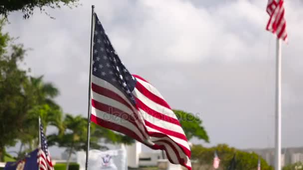Αμερικανική σημαία στο στρατιωτικό νεκροταφείο μνημόσυνο — Αρχείο Βίντεο