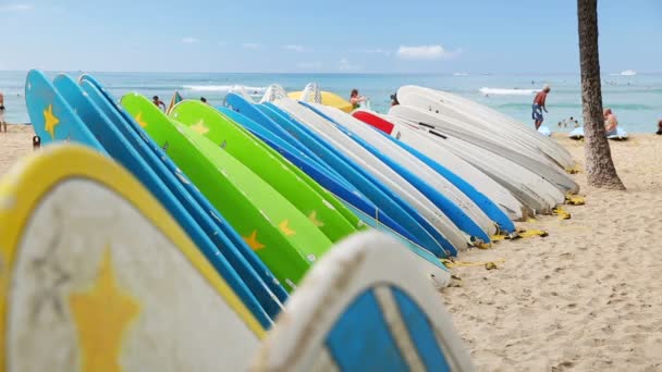 Rental surfboards at waikiki beach, hawaii — Stock Video