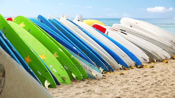 Hyra surfbrädor på waikiki beach, hawaii — Stockvideo
