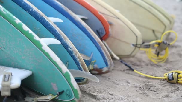 Rental surfboards at Waikiki Beach Hawaii. — Stock Video