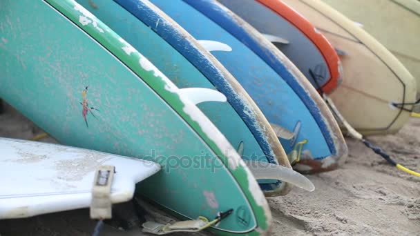 Verhuur surfplanken op Waikiki Beach-Hawaii. — Stockvideo