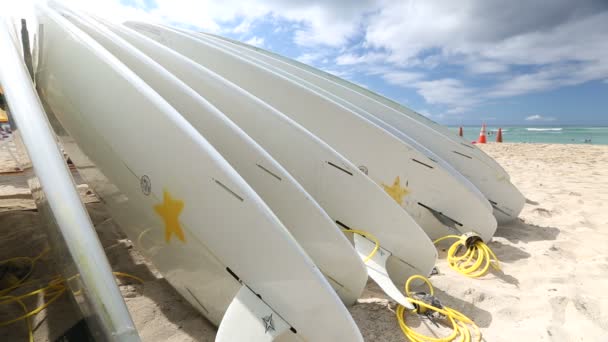 Прокат автомобілів дошки для серфінгу на березі пляжу Вайкікі Гаваї — стокове відео