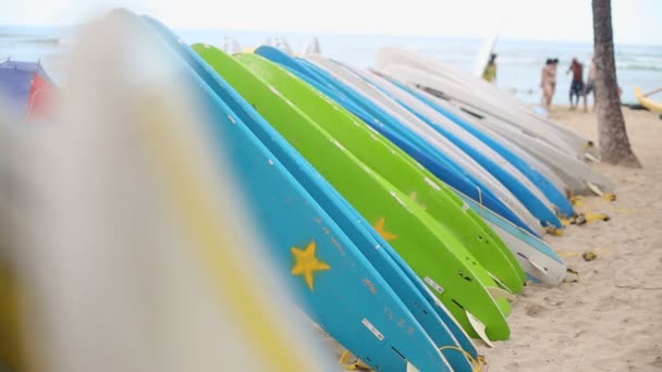 Alquiler de tablas de surf en Waikiki Beach Hawaii . — Vídeos de Stock