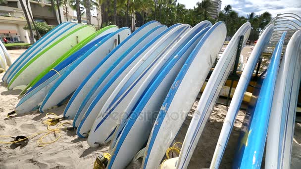 Аренда досок для серфинга на Waikiki Beach Hawaii — стоковое видео