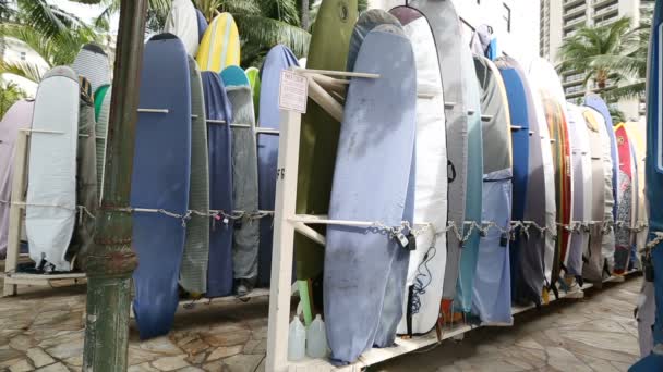 Прокат автомобілів дошки для серфінгу на березі пляжу Вайкікі Гаваї — стокове відео