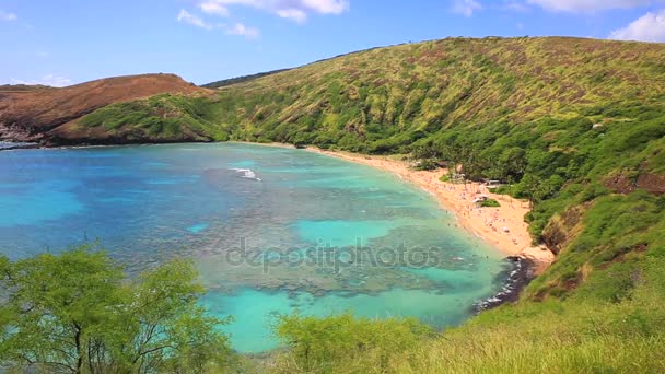 Baía de Hanauma em Oahu, Havaí — Vídeo de Stock