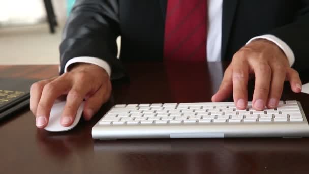 Uomo d'affari che lavora su laptop a casa — Video Stock